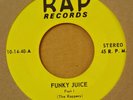 RARE Funk 45-Rappers-Funky Juice Part 1 & 2-Rap-Breaks-NICE