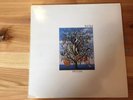 Talk Talk - Spirit Of Eden - LP - 1988