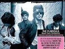 PLIMSOULS - BEACH TOWN CONFIDENTIAL: NEW VINYL