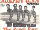 SOLO COPERTINA - COVER ONLY - THE BEACH BOYS - Surfin' U.S.A. - ITA VG+