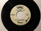 LYDIA LEE LOVE Don't Take Your Love 45 rpm NY Groove RARE House Freestyle LISTEN