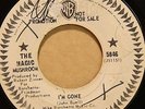 The Magic Mushroom - I'm Gone/Cry Baby, WLP, WB 5846, Rare 60's Punk Psych, HEAR