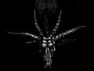 Urgehal - Goatcraft Torment LP 2016 black metal Norway Agonia Records