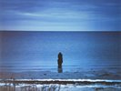 Steve Wilson - Catalogue / Preserve / Amass 12