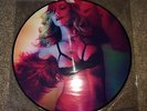 MADONNA GIRL GONE WILD NEW PICTURE DISC VINYL 12