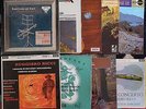 SXL 2006, 2197, SWL 8021  AND MORE  7 X  RICCI VIOLIN LPS. DECCA