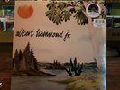 Albert Hammond  Jr  YOURS TO KEEP  LP( limited edition RSD release)