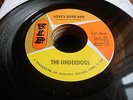 Underdogs GARAGE ROCK DETROIT 45 Love's Gone Bad / Mo Jo Hanna