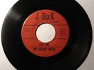 ZAKARY THAKS Bad Girl 45 RPM J-Beck 1006 RARE ORIG TEXAS GARAGE PUNK Listen mp3