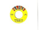 MAGNETICS  doo-wop 45  Where Are You / The Train - NM
