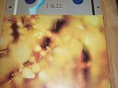 RARE 2 Steamhammer 12