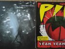 2 x 7'' VINYL SINGLES YEAH YEAH YEAHS PIN & IS IS