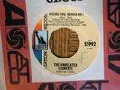 The Unrelated Segments,Where You Gonna Go,Liberty Promo Label,45 RPM