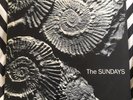 THE SUNDAYS Reading , Writing And Arithmetic UK 1st Pressing MINT LP