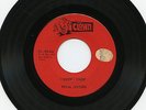 Tex-Mex 45: Royal Jesters, Clown 104