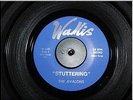 WHITE DOO-WOP 45rpm AVALONS Stuttering b/w Cheaters. 2-SIDED MONSTER