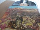 STYX The Serpent Is Rising 1973 Wooden Nickel LP OG Prog Rock Mint
