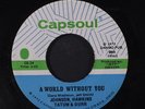 JOHNSON, HAWKINS, TATUM & DURR: A World Without You / You're All I Need To Make