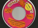 TEEN-- ANDY ANDERSON--  SAY GOODBYE TO DONNA  --HEAR -1962 MISS. COUGAR