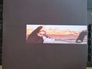 VASCO ROSSI - SALLY - VINILE 45 GIRI - NUOVO