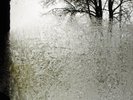Jagjaguwar - For Emma, Forever Ago