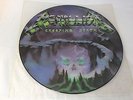 METALLICA *CREEPING DEATH* VERY RARE 1984 PICTURE DISC VINYL 12 INCH  NO BARCODE