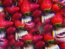 OH SEES 'Floating Coffin LP ty segall fuzz white fence bare wires mikal cronin 7