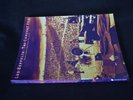 Led Zeppelin The Concert File Soft Bound Book ISBN 0711953074 1997 Dave Lewis