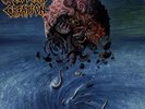 Malevolent Creation - Stillborn LP #110433