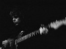 WHITE FENCE Live San Francisco LP Ty Segall oh sees bare wires warm soda mallard