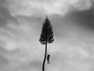 Manchester Orchestra A BLACK MILE TO THE SURFACE 130g +MP3s NEW VINYL 2 LP