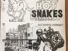 Automatic Midnight by Hot Snakes (Vinyl, Aug-2002, Swami Recordings) New