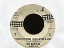 THE BEATLES Die Beatles Sie Liebt Dich on Swan Rare Promo with Double X 45 Hear