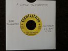 ? The Younghearts   A Little Togetherness   Wheel & Torch Classic ?