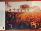 K&D Sessions 1998 Stud o K7 ?3xLP G-STONE
