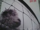 Pearl jam vs sealed vinyl