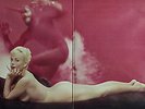 SEXY NUDE COVER & CHEESECAKE   YOICHI SUZUKI / Pink Mood Deluxe   LP SJV-232