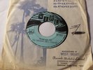 EL VERNO DEL CONGO - SPOUGE IS DE BEAT - CALYPSO 45 RPM