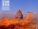 Maccabees - Given To The Wild - Sealed Vinyl LP Feel Follow Pelican Went Away