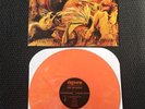 Ringworm The Promise Original Pressing Orange Vinyl Integrity Pulling Teeth