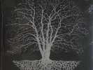 BLNDR - Phased - 12