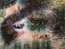 Pink Floyd A Saucerful Of Secrets Columbia Factory Sample N Mint Stereo Vinyl Lp