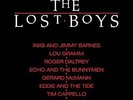 LOST BOYS / O.S.T. (LTD) (OGV)-LOST BOYS / O.S.T. (LTD (US IMPORT)  VINYL LP NEW