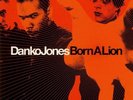 Danko Jones - Born a Lion