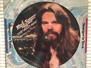 BOB SEGER STRANGER IN TOWN NM- ORIG 1978 PICTURE DISC DIE CUT CVR OLD TIME ROCK