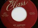 NM DOO WOP / SOUL 45 / THE SPUTNIKS / HEY MARYANN / MY LOVE IS GONE / CLASS 217