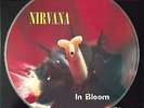 NIRVANA - Strictly limited Edition 12