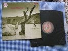 EX+ TONTON MACOUTE - TONTON MACOUTE LP ORIGINAL, RCA NEON, UK 1 PRESSING SUPERB