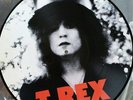T REX THE SLIDER LP PICTURE DISC RINGO STARR PHOTOS.Get Back GET633P Excellent++