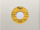 LITTLE DENNY & Torkays I'd Love To Take You Walking ROCKABILLY 45 Oiginal
